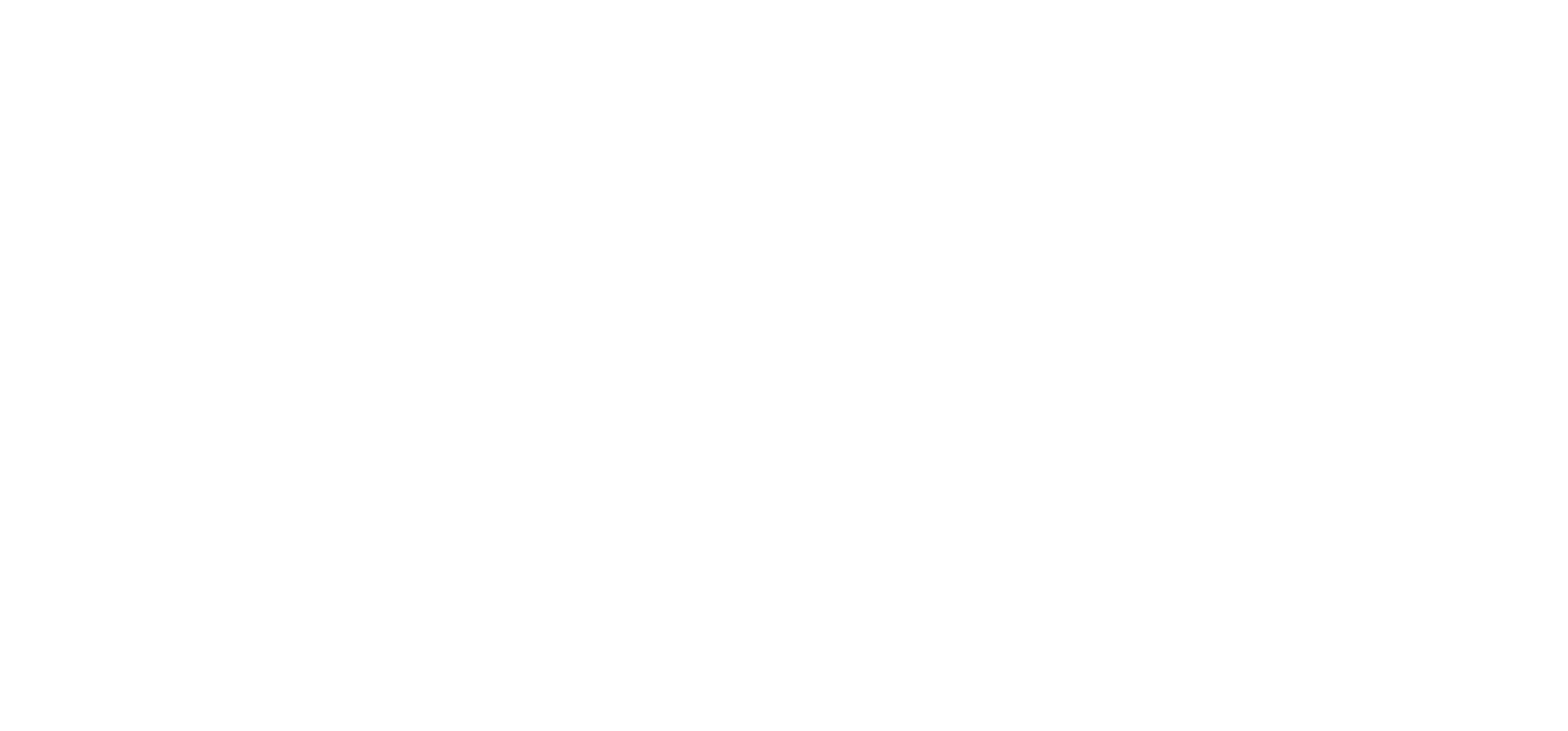 Logo Ottobeuren in weiß